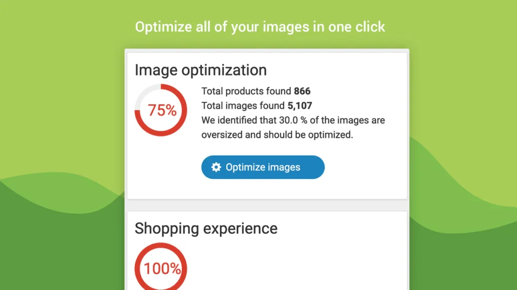 SEO Image Optimizer Wizard shopify